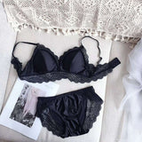 Ice Silk Bra set