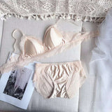 Ice Silk Bra set