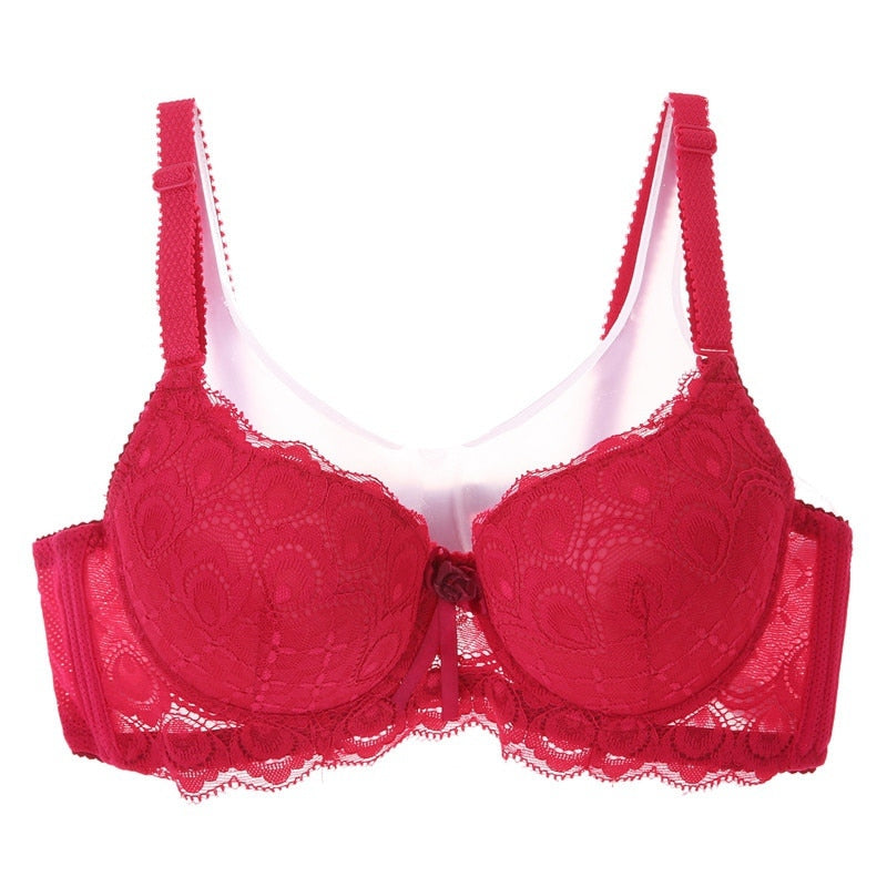 Push Up Lace Embroidered Bow Bra