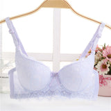 Push Up Lace Embroidered Bow Bra