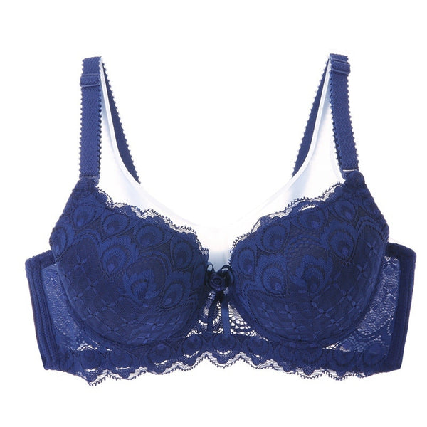 Push Up Lace Embroidered Bow Bra