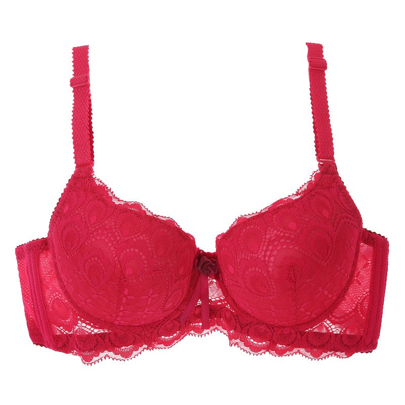 Push Up Lace Embroidered Bow Bra