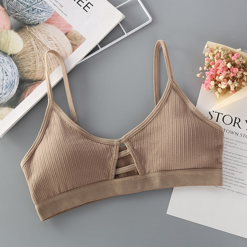 Wireless Bralette Sexy Lingerie Crop Top